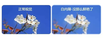 628d7962c084d.png
