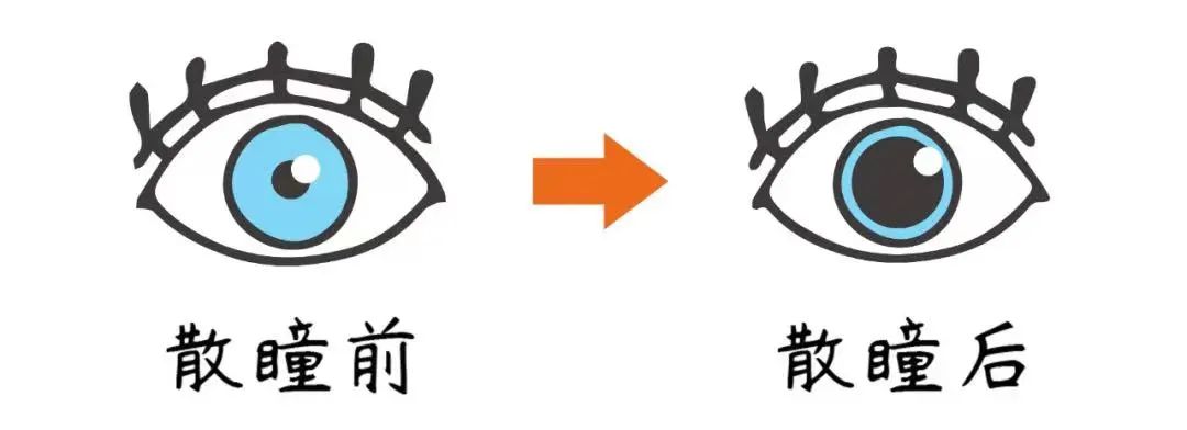 微信圖片_20230410082549.jpg