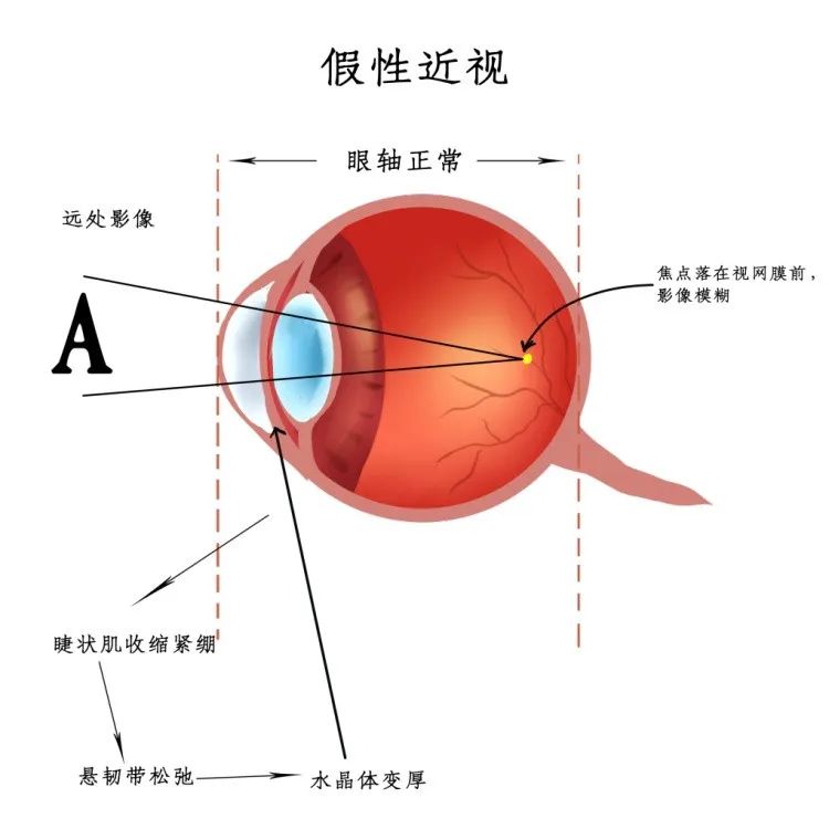 微信圖片_20230410082604.jpg