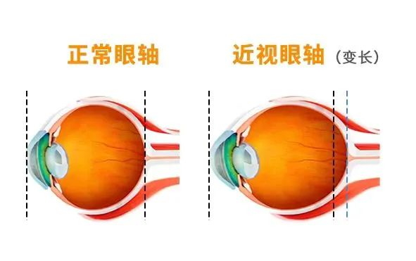 微信圖片_20230410082608.jpg