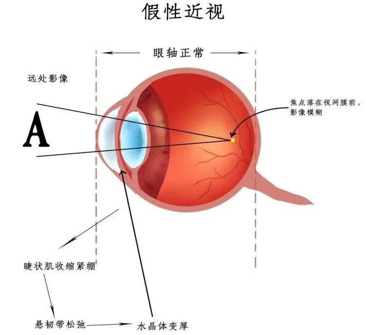 微信圖片_20230412082035.jpg
